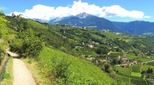 Südtirol Wandern