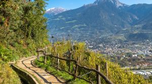 Südtirol Wandern