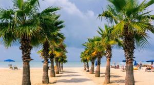 Albanien Erholen-Reise am Strand SRD