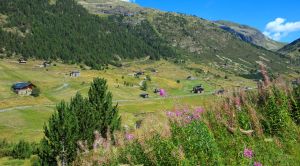 Andorra Wander-Reise Blick überr Wiesen SRD