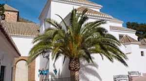 Andalusien E-Bike-Reise Kirche in Mijas SRD