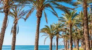 Andalusien E-Bike-Reise Promenade Torremolinos SRD
