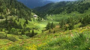 Alpenüberquerung
