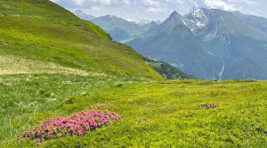 Alpenüberquerung