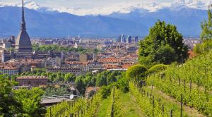 Piemont Rundreise Blick auf Turin mit Alpen im Hintergrund Piemont Rundreise Blick auf Turin mit Alpen im Hintergrund