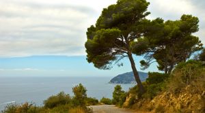 Ligurien Wandern Weg am Meer