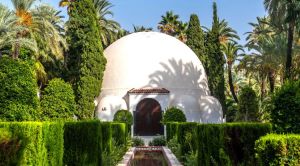 Costa Calida Erholen Palmengarten Elx