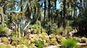 Costa Calida Erholen Huerto del Cura in Elx