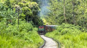 Sri Lanka Zug auf der Fahrt durch die Ella Berge