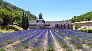 Provence Abtei von Senanque