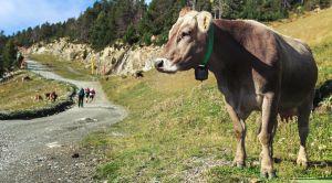 Andorra Wanderreise Weg in den Bergen SRD