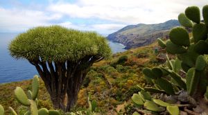 La Palma Wandern