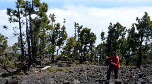 La Palma Wandern