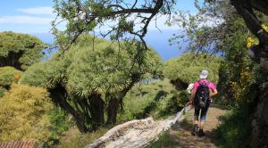 La Palma Wandern