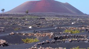 Lanzarote