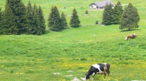 Ledro-Tal Wandern