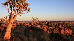 Namibia