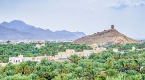 Oman & mehr