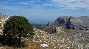 Sardiniens Osten