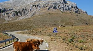 Sardiniens Osten